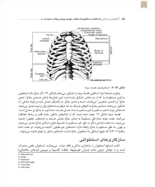 اناتومی حرکتی - نمونه چهارم - جزیره کتاب های الکترونیکی